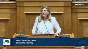 Ε. Λιακούλη: «Κυνικό ξεπούλημα της ψυχικής υγείας και πλήρης απαξίωση των γιατρών από την Κυβέρνηση»